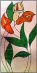 Arum Lily